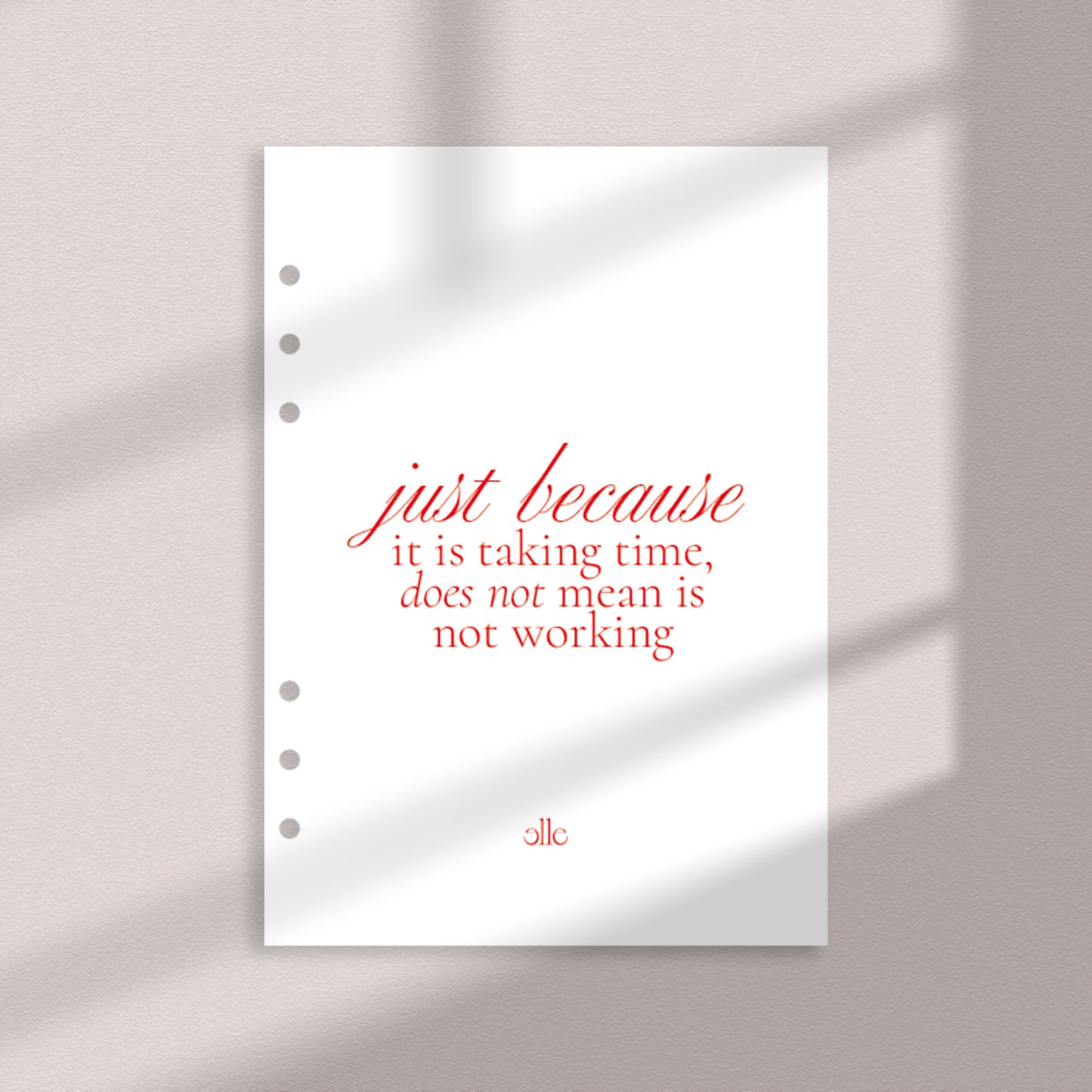 Just Because Portada | Insert