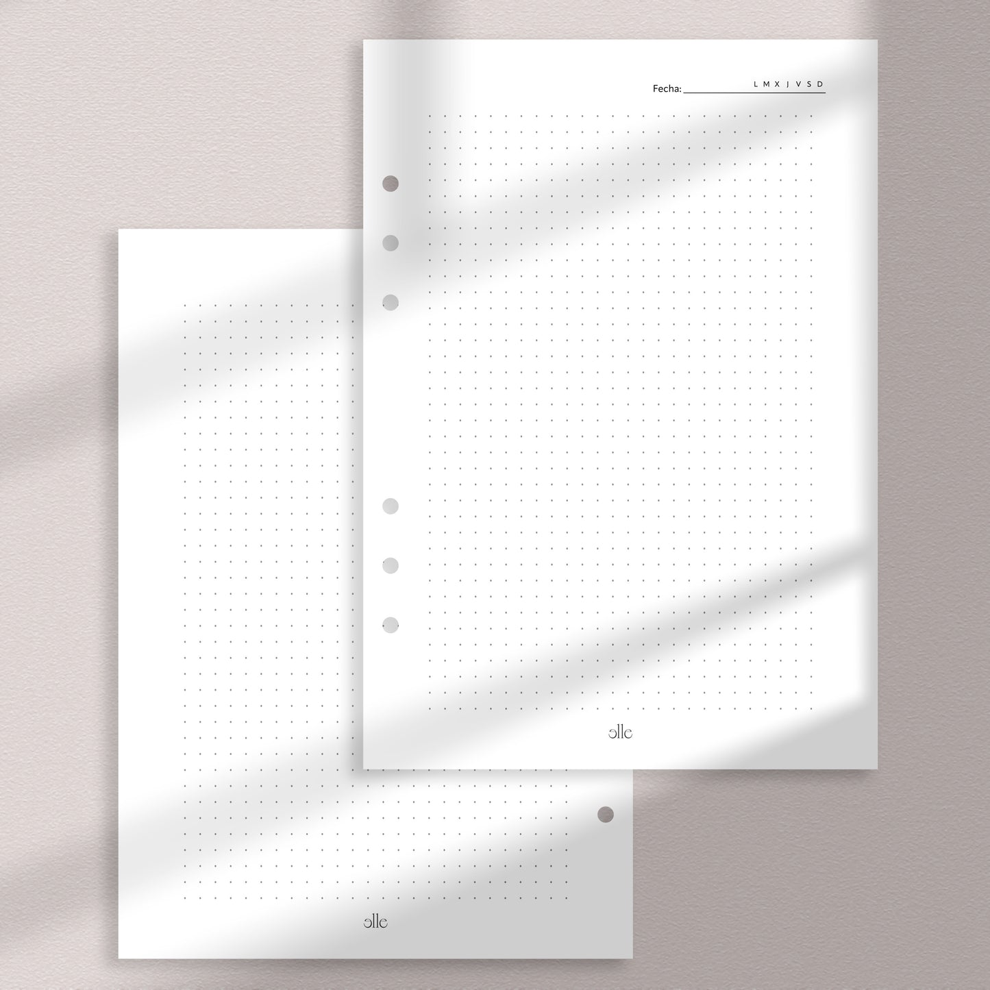 Notas Insert