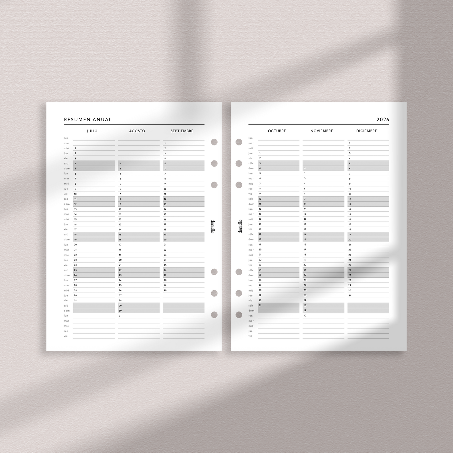 Daily Planner 2026 Completo | Enero–Diciembre | Insert
